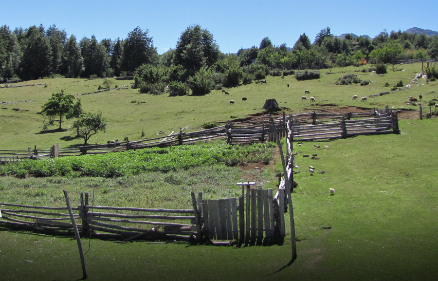 Cabalgatas y paisajes rurales en Futaleufú